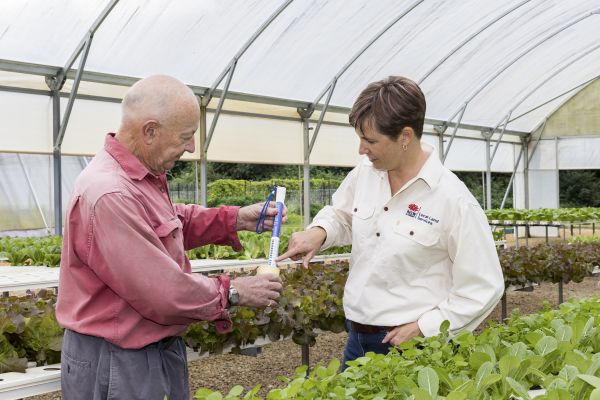 Land Services NSW worker interacts with client in market garden
